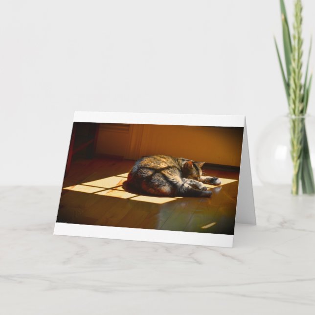 Jours lents, carte (Devant)