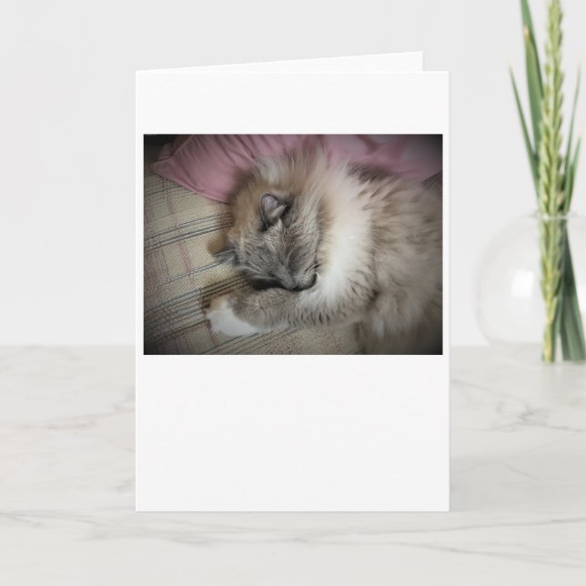 Jours lents, carte (Devant)