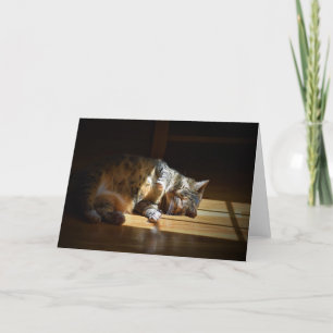 Jours lents, carte