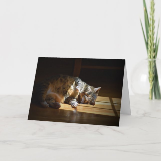 Jours lents, carte (Devant)