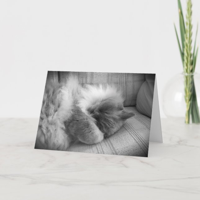 Jours lents, carte (Devant)