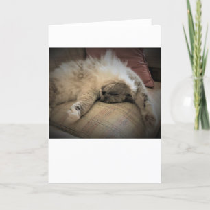 Jours lents, carte
