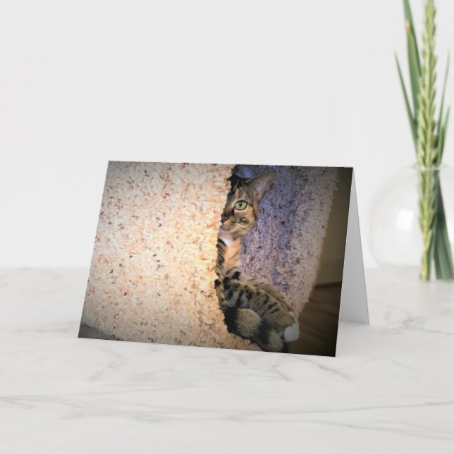 Jours lents, carte (Devant)