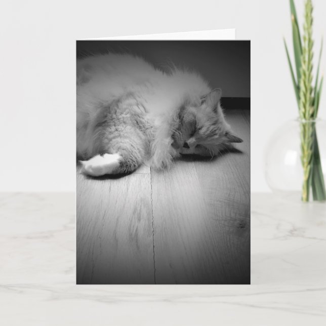 Jours lents, carte (Devant)