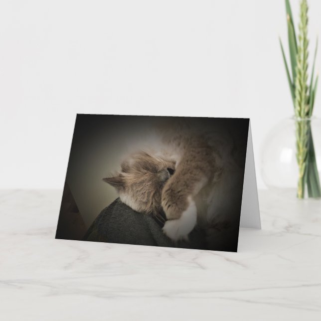 Jours lents, carte (Devant)