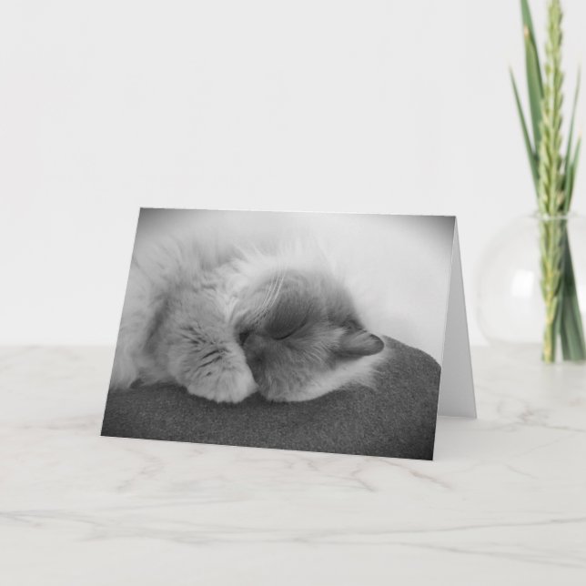 Jours lents, carte (Devant)