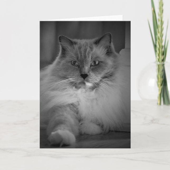 Jours lents, carte (Devant)