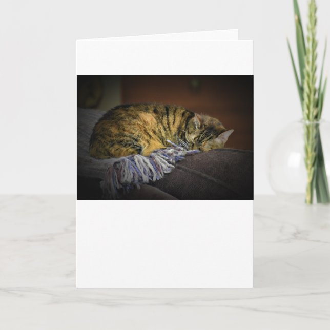 Jours lents, carte (Devant)