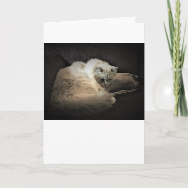 Jours lents, carte (Devant)