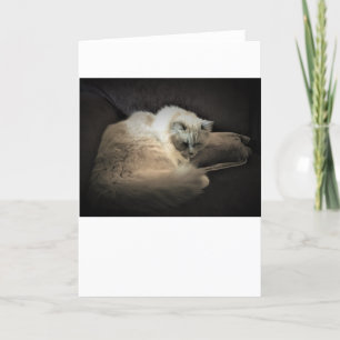 Jours lents, carte