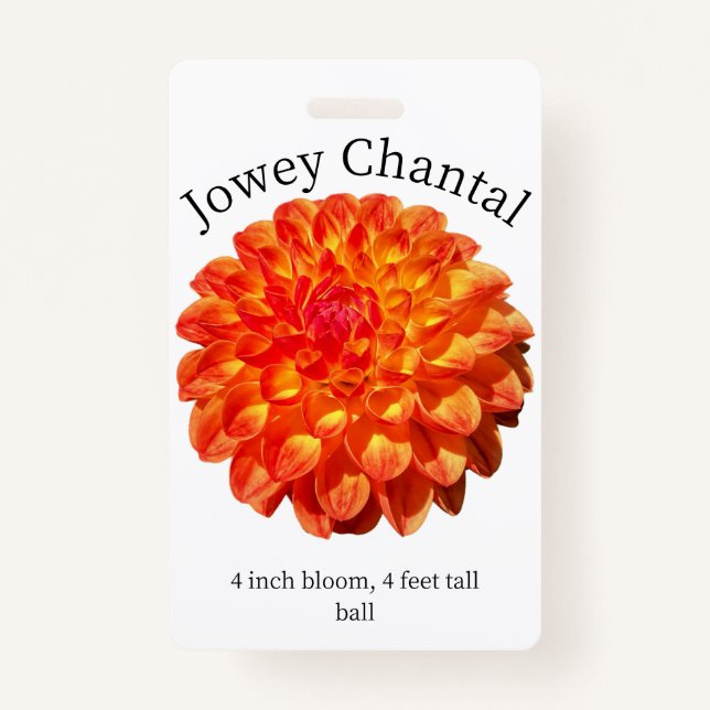 Jowey Chantal Dahlia ID Badge (Devant)