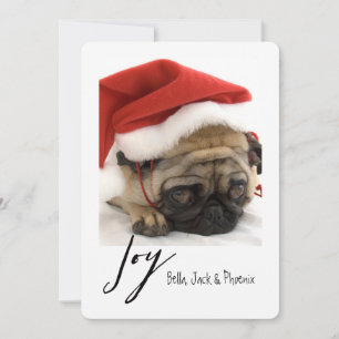 Joy Modern Pet Carte de vacances