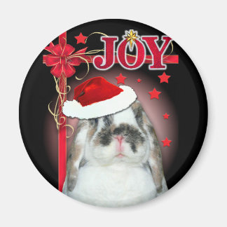 Joy Xmas Magnet