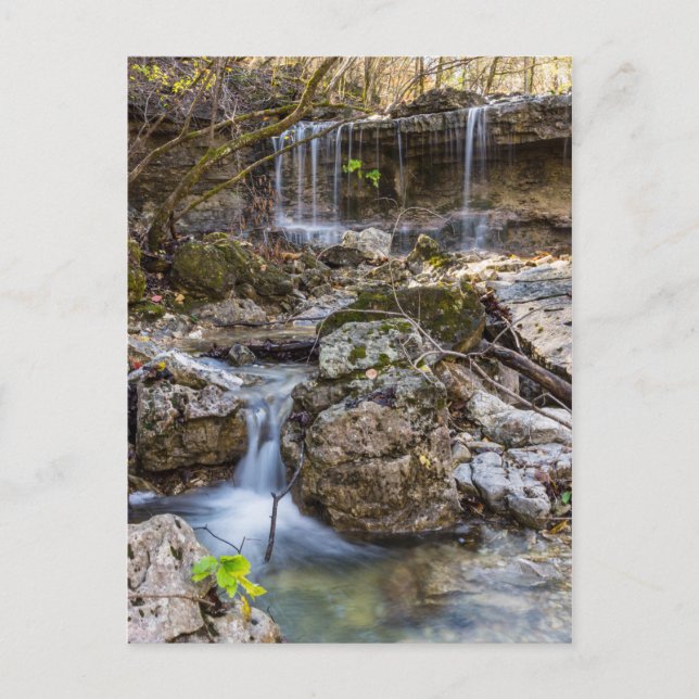 Joyau de la Henning Conservation Carte postale vie (Devant)