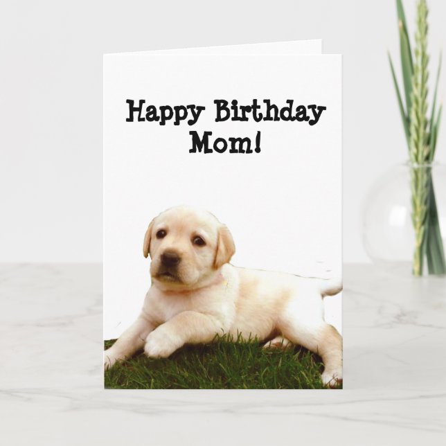 Joyeuse carte d'accueil pour chiot Labrador Birthd (Devant)