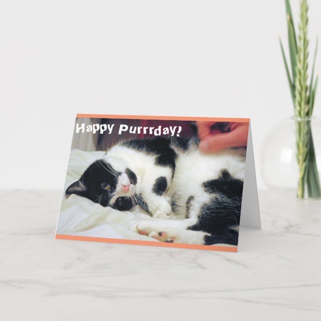 Joyeuse carte de chat du jour de la journée (Devant)