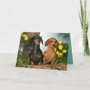 Joyeuse carte de Chien Chien Chien Chien Chien Chi