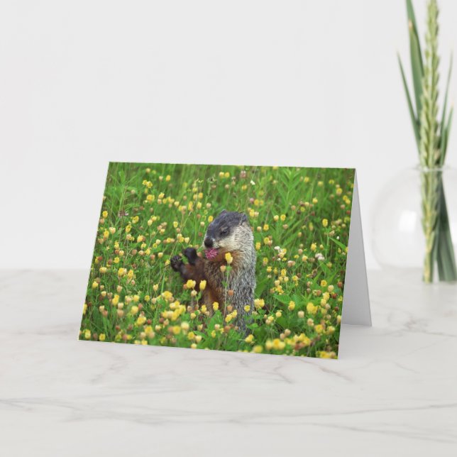 Joyeuse carte de jour de marmotte ! (Devant)