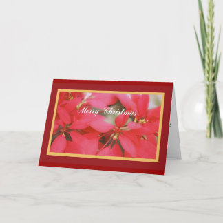 Joyeuse carte de Noël