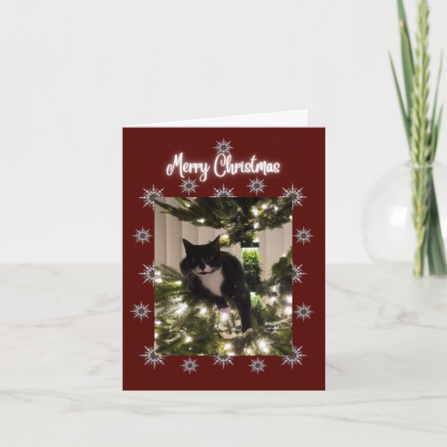 Joyeuse carte de Noël avec Tuxedo cat sur mon arbr (Devant)