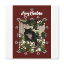 Joyeuse carte de Noël avec Tuxedo cat sur mon arbr