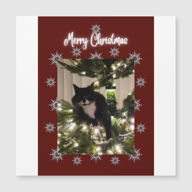 Joyeuse carte de Noël avec Tuxedo cat sur mon arbr (Devant)