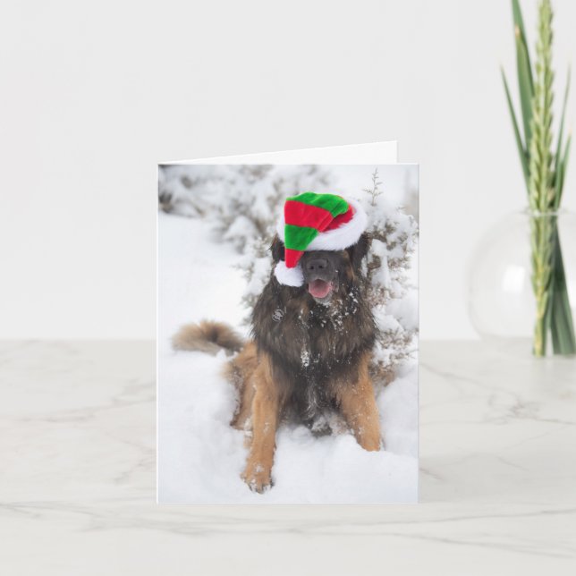 Joyeuse carte de Noël Merry Leonberger (Devant)
