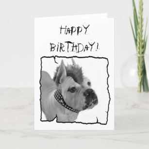 Cartes Punk D Anniversaire Zazzle Fr