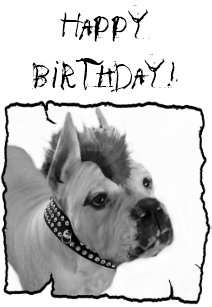 Cartes Punk D Anniversaire Zazzle Fr