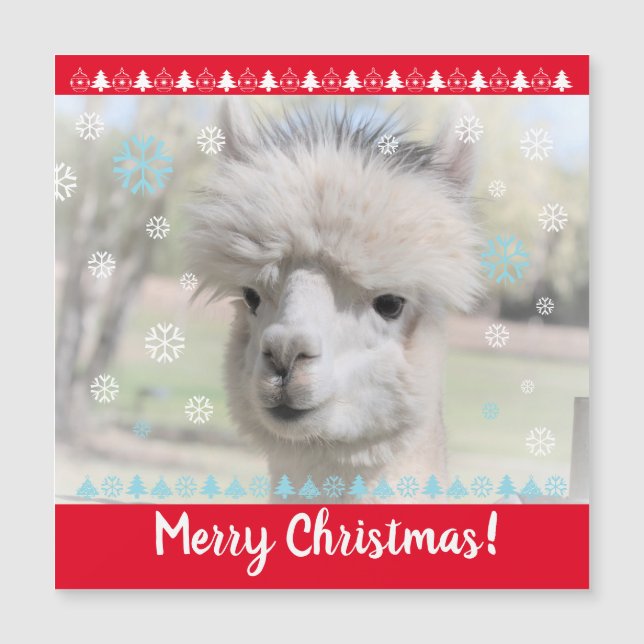Joyeuse carte magnétique Alpaca de Noël (Devant)