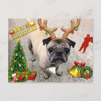 Joyeuse carte postale Machi de X'mas