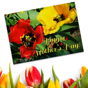 Joyeuse Fête des Mères Félicitations Tulipes Rouge