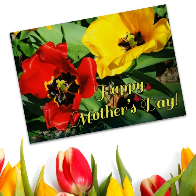 Joyeuse Fête des Mères Félicitations Tulipes Rouge (Créateur téléchargé)