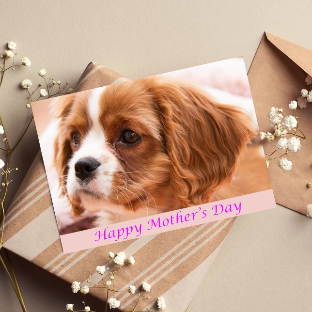 Joyeuse fête des mères Puppy CKCS Carte (Créateur téléchargé)