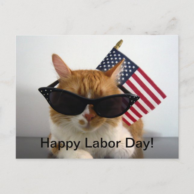 Joyeuse fête du Travail Carte postale avec chat co (Devant)