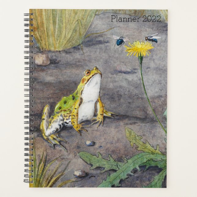 Joyeuse Grenouille verte Whimsical (Devant)