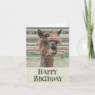 Joyeuse Llama d'anniversaire - Carte d'anniversair