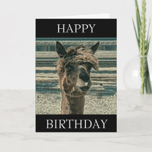 Joyeuse Llama d'anniversaire - Carte d'anniversair