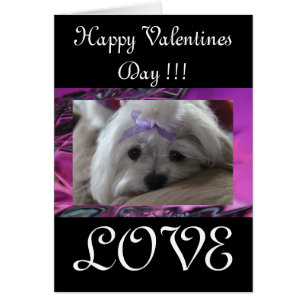 Joyeuse Saint-Valentin