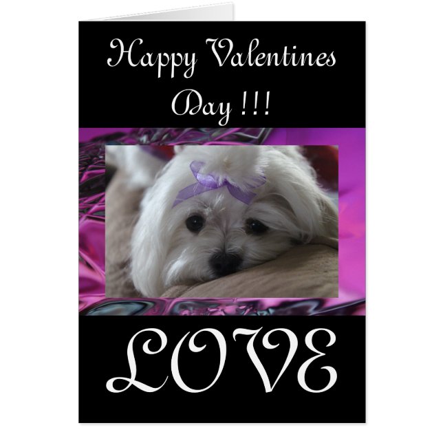 Joyeuse Saint-Valentin (Devant)