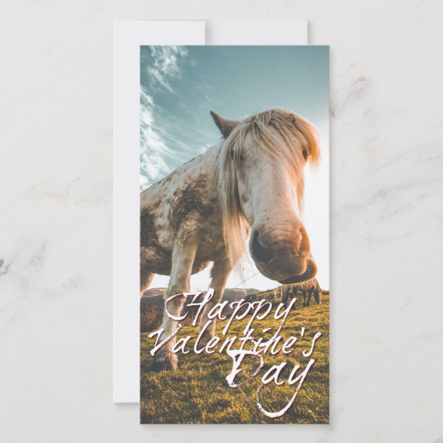 Joyeuse Saint-Valentin avec cheval qui regarde (Devant)