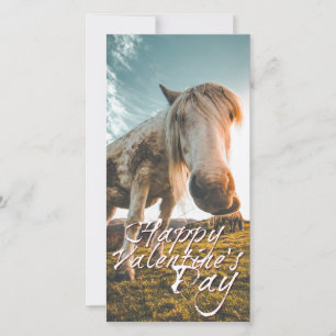 Joyeuse Saint-Valentin avec cheval qui regarde
