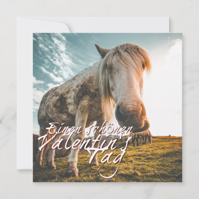 Joyeuse Saint-Valentin avec cheval qui regarde (Devant)