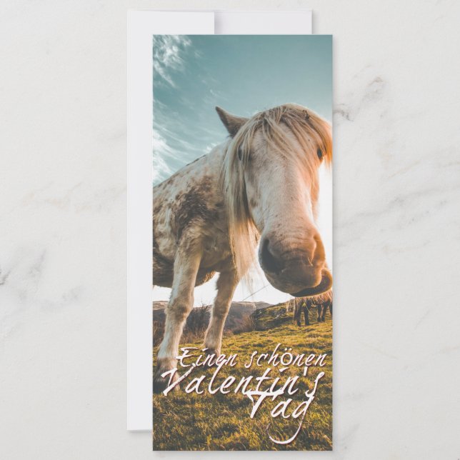 Joyeuse Saint-Valentin avec cheval qui regarde (Devant)