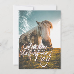 Joyeuse Saint-Valentin avec cheval regardant