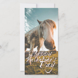 Joyeuse Saint-Valentin avec cheval regardant