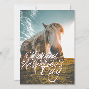Joyeuse Saint-Valentin avec cheval regardant