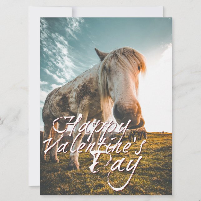 Joyeuse Saint-Valentin avec cheval regardant (Devant)