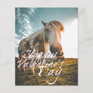 Joyeuse Saint-Valentin avec cheval regardant