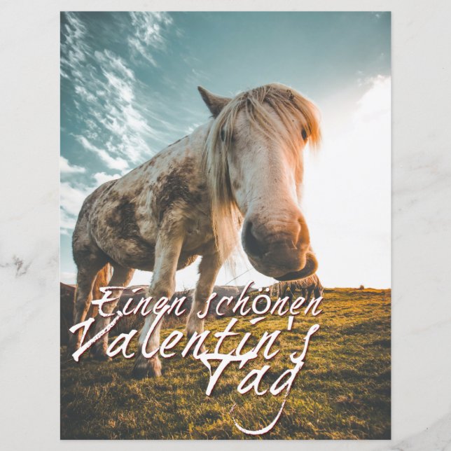 Joyeuse Saint-Valentin avec un cheval qui regarde (Devant)